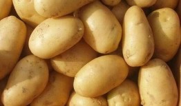 五月八月土豆在线观看